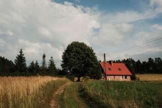 Дома для отпуска Przystanek w lesie Skórzewo Таунхаус с 2 спальнями-35
